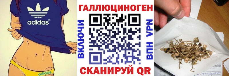как найти наркотики  Малоярославец  Псилоцибиновые грибы Psilocybine cubensis 